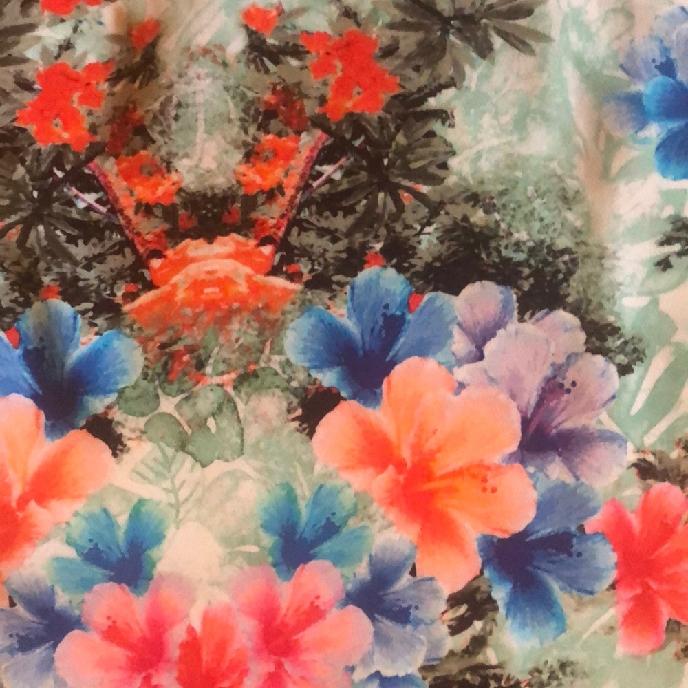 Floral print. V neck . Zara top - Picture 3 of 4